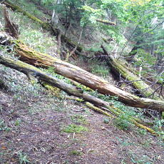 201004_p10.jpg