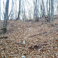201117_p23.jpg