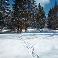 220513_p02.jpg