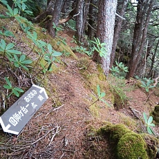 220618_p15.jpg