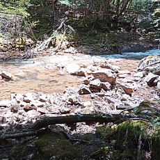220528_p31.jpg