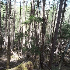 220528_p51.jpg