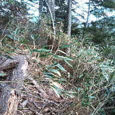 221028_p29.jpg