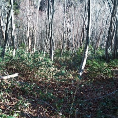 221028_p42.jpg