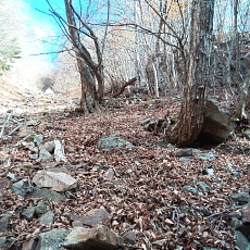 231123_p14.jpg