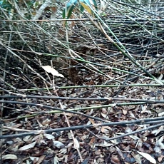 241022_p07.jpg