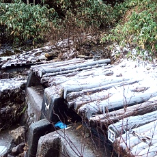 241112_p02.jpg