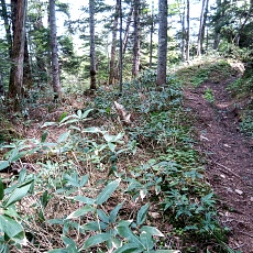240612_p17.jpg