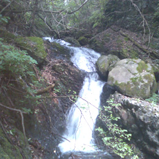 110703_p10.jpg