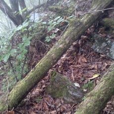120916_p16.jpg