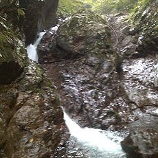 120930_p01.jpg