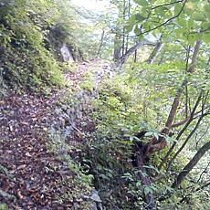 121007_p01.jpg