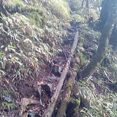 130623_p03.jpg