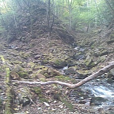 141020_p06.jpg