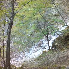 150523_p06.jpg