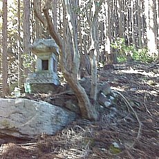 151025-02_p01.jpg