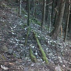 151103_p10.jpg