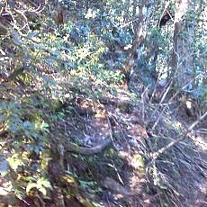 160603_p08.jpg