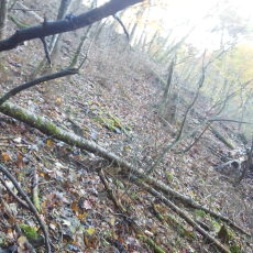 161029_p02.jpg