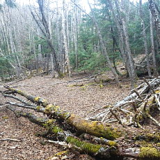 170429_p23.jpg