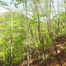 190518_p26.jpg