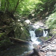 190614_p02.jpg