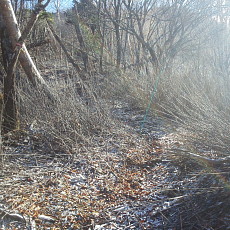 191129_p12.jpg
