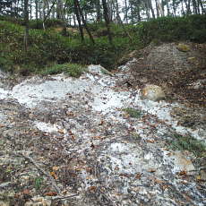 201004_p33.jpg