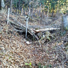 201117_p19.jpg