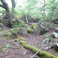 210612_p08.jpg