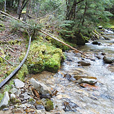 210916_p24.jpg