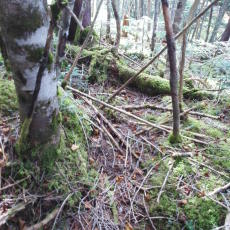 210930_p10.jpg