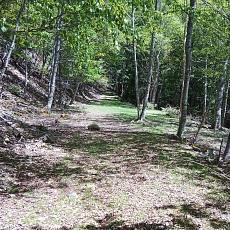 220528_p25.jpg