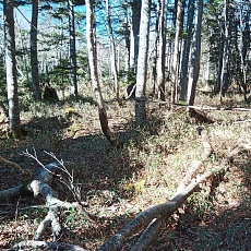 221028_p10.jpg