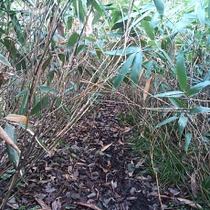 221014_p04.jpg