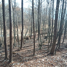 230414_p13.jpg