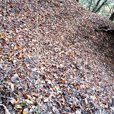 231030_p19.jpg