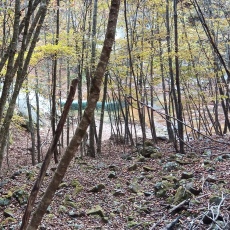 231030_p33.jpg