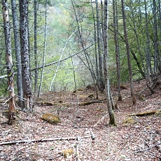 230502_p40.jpg