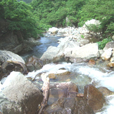 100624_p05.jpg