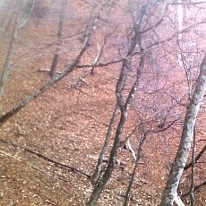 131127_p13.jpg