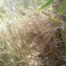 140504_p22.jpg