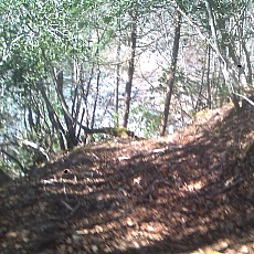150330_p30.jpg
