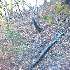 151025-01_p11.jpg