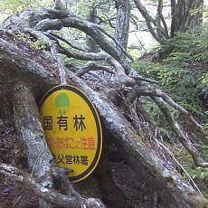 160603_p22.jpg