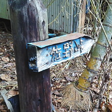170304_p11.jpg