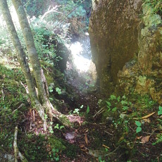 170529_p04.jpg