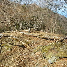 190420_p07.jpg