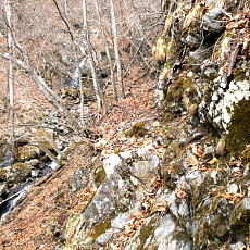 190427_p09.jpg