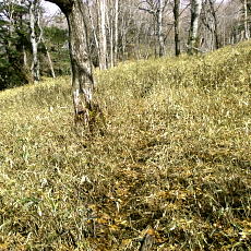 190427_p16.jpg